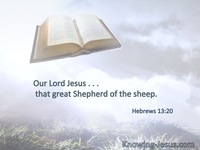 Hebrews 13:20